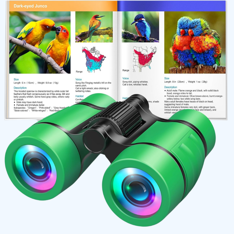 Verrekijkers voor Kids | Vogels Spotten Speelgoed voor Jongens & Meisjes 4-7 | Buiten Avontuur Set met Handleiding | Educatief Wandel Cadeau