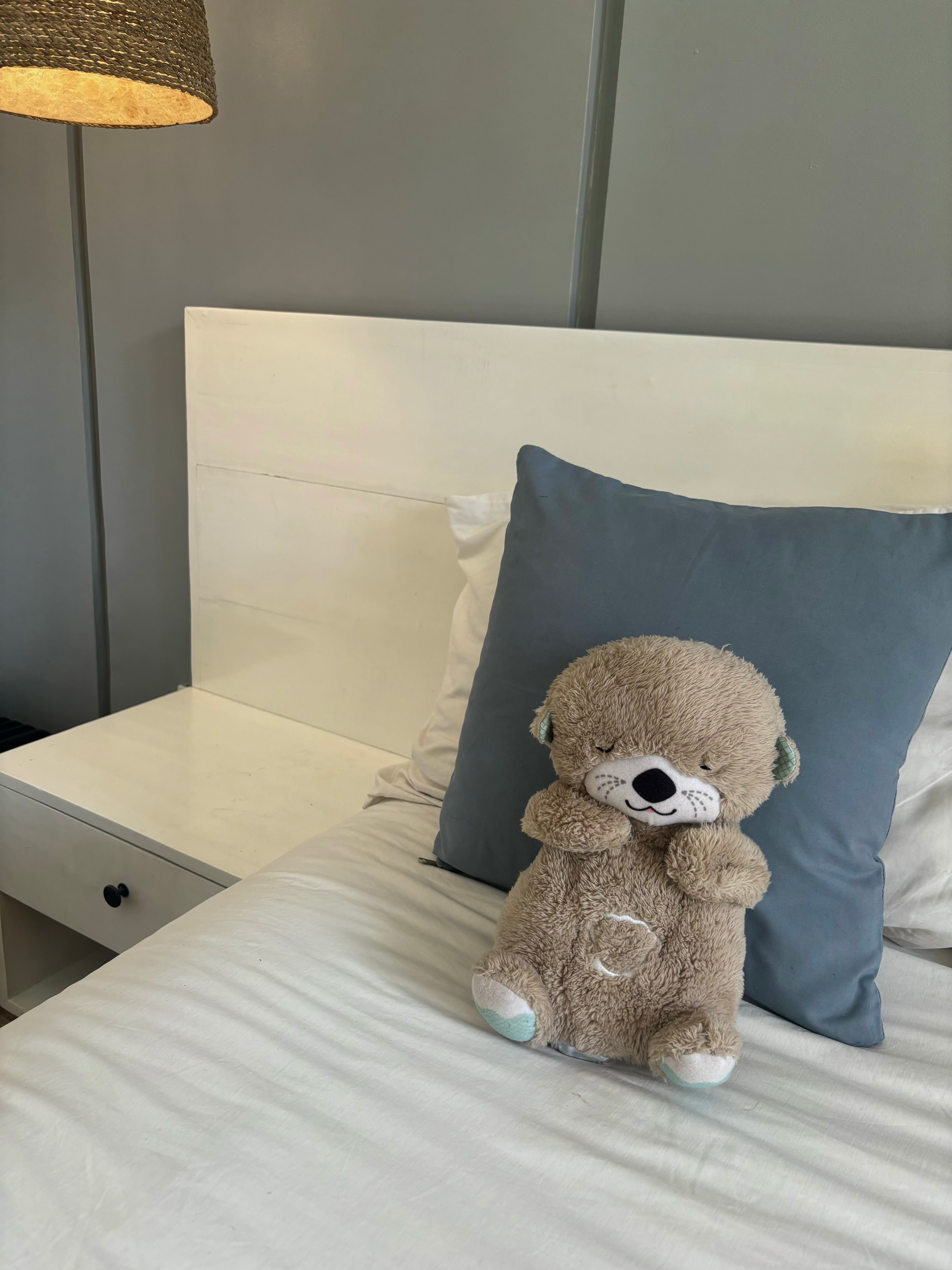 Anti-Angst Teddy Knuffel Speelgoed l Baby's en Peuters van 1 t/m 6 Jaar