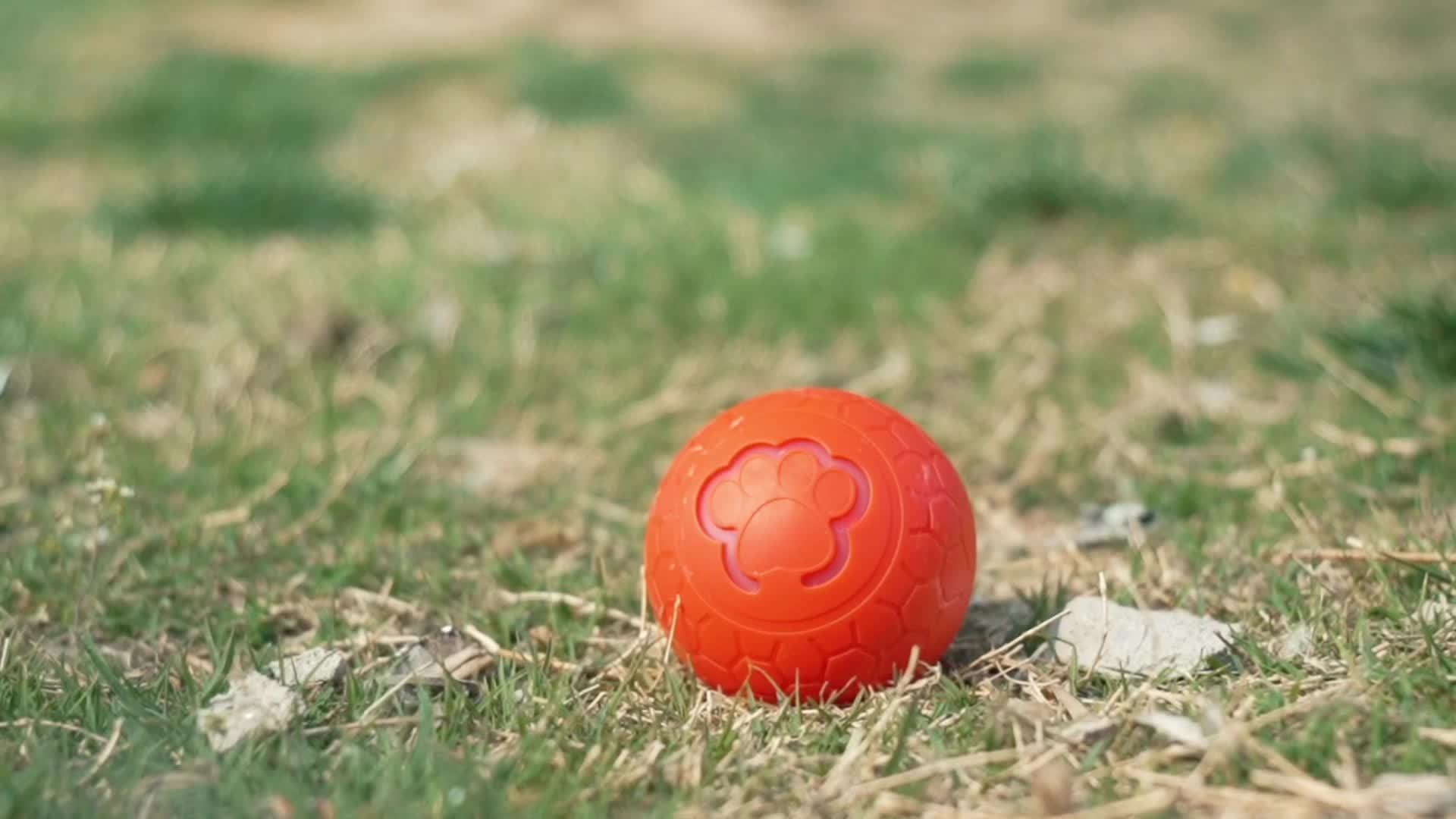 Interactieve Huisdier Speelbal | Oplaadbaar & Bijtbestendig, Perfect Speelgoed Cadeau