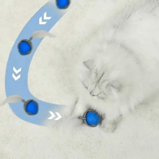Speedy Tail Huisdier Speelgoed | Interactieve Speeltjes voor Katten & Honden