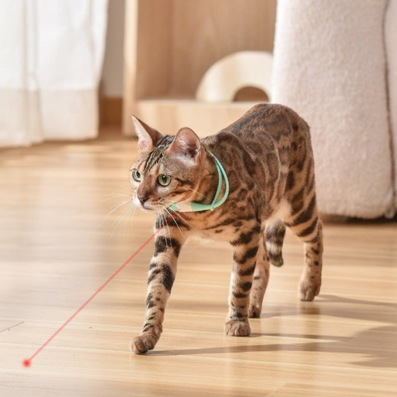Oplaadbare Elektronische Draagbare Kattenhalsband | Comfortabel en Slim – Voor Binnenkatten & Buitenkatten