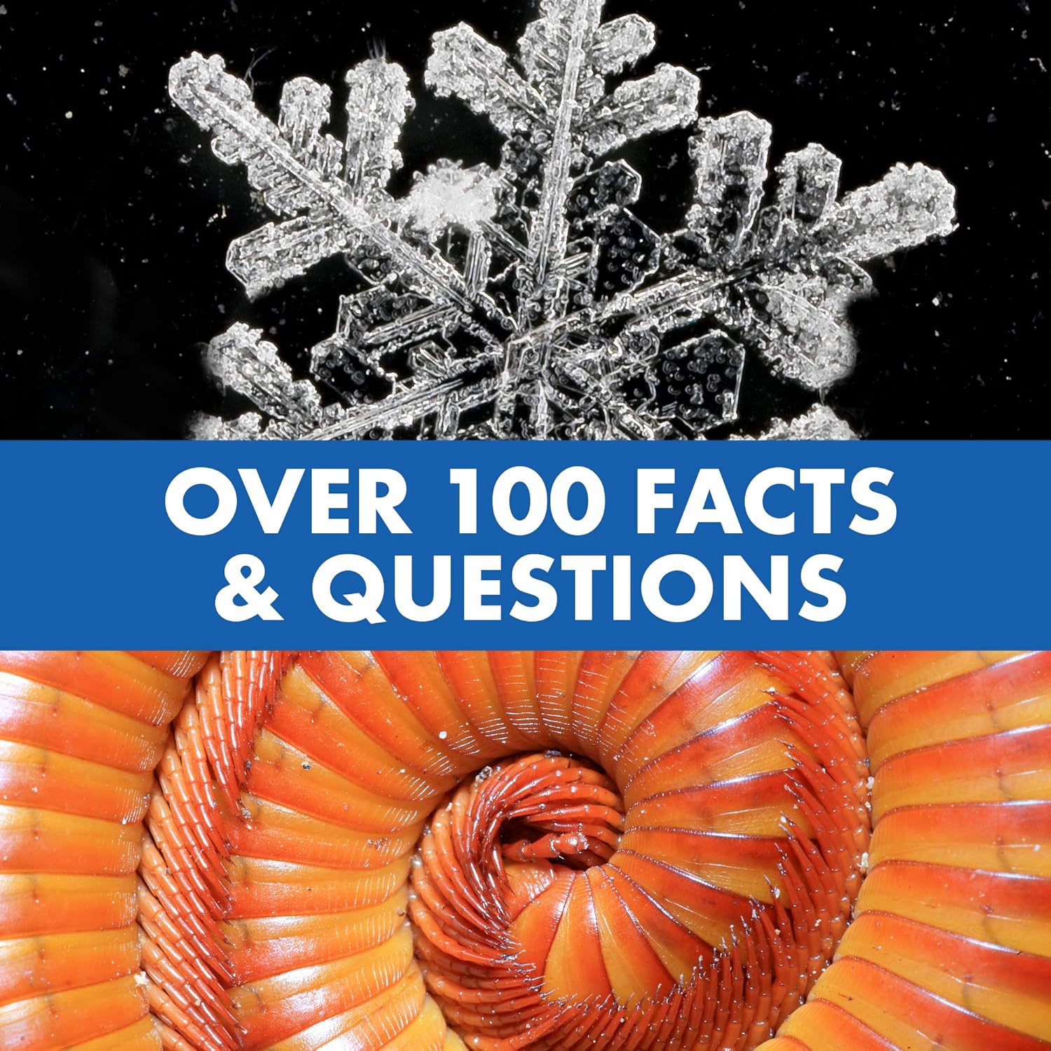 Kindermicroscoop|STEM leer speelgoed met stemfunctie & vergroting