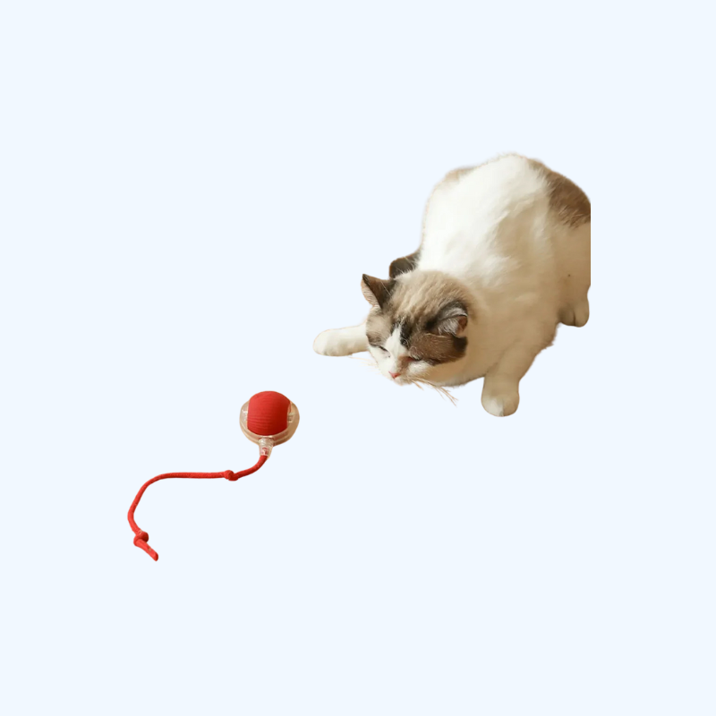 Interactieve Speelbal voor Katten | Slim & Zelfbewegend