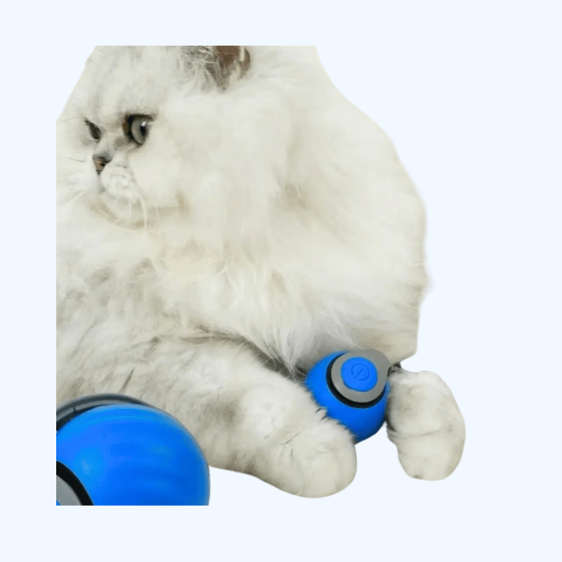 Speedy Tail Huisdier Speelgoed | Interactieve Speeltjes voor Katten & Honden