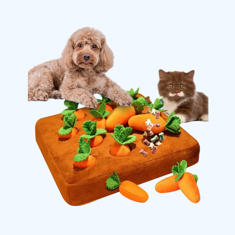 Snuffelmat met Wortels voor Honden & Katten | Interactief Dierenpuzzel Speelgoed