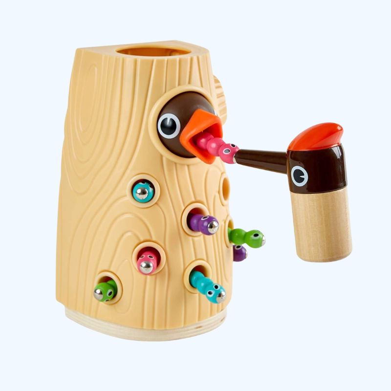 Magnetisch Vogelvoederspel | Montessori Speelgoed voor 2 Jaar | Ontwikkeling Fijne Motoriek