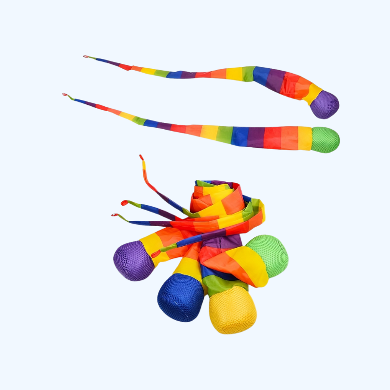 Zandzak Frisbee Spel | Actief Gooi- en Mikspel met Linten voor 14+