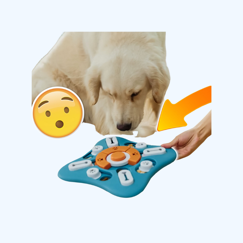 Pawzzle – Slimme Hondenpuzzel Voeder voor Gezonde Eetgewoonten