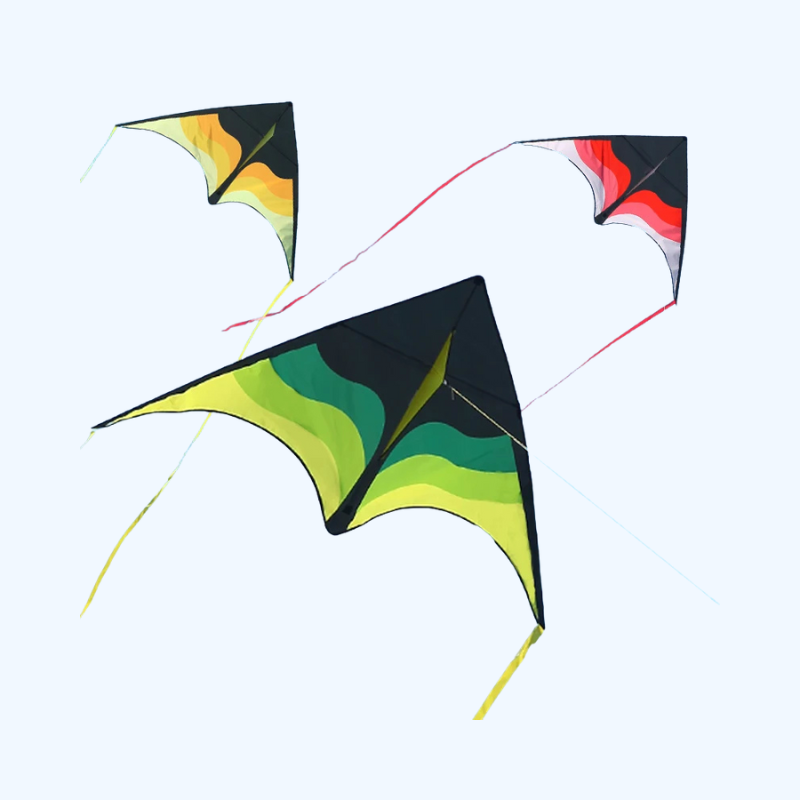 Grote Delta Strandvlieger - Gemakkelijk Te Laten Vliegen Voor Kinderen en Volwassenen (Met 100M Lijn)