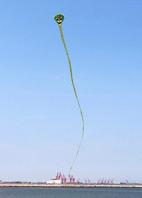 Grote Slangenkite - Nylon Cobra Vlieger Met Lijn Voor Strand en Outdoor Activiteiten