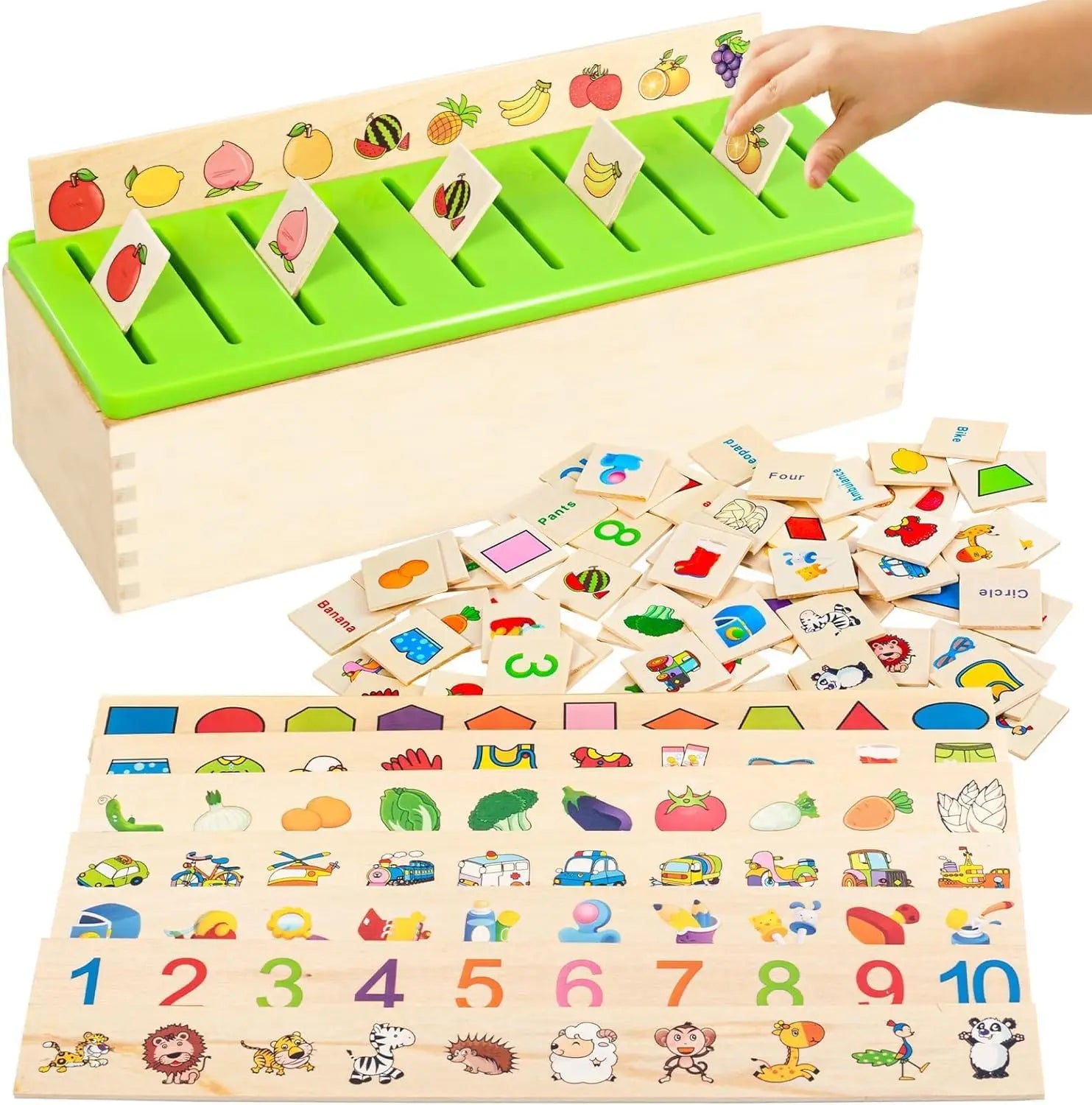 Montessori Sorteerbox | Vroege Educatie | Afbeelding & Object Match | Voor Kleuters