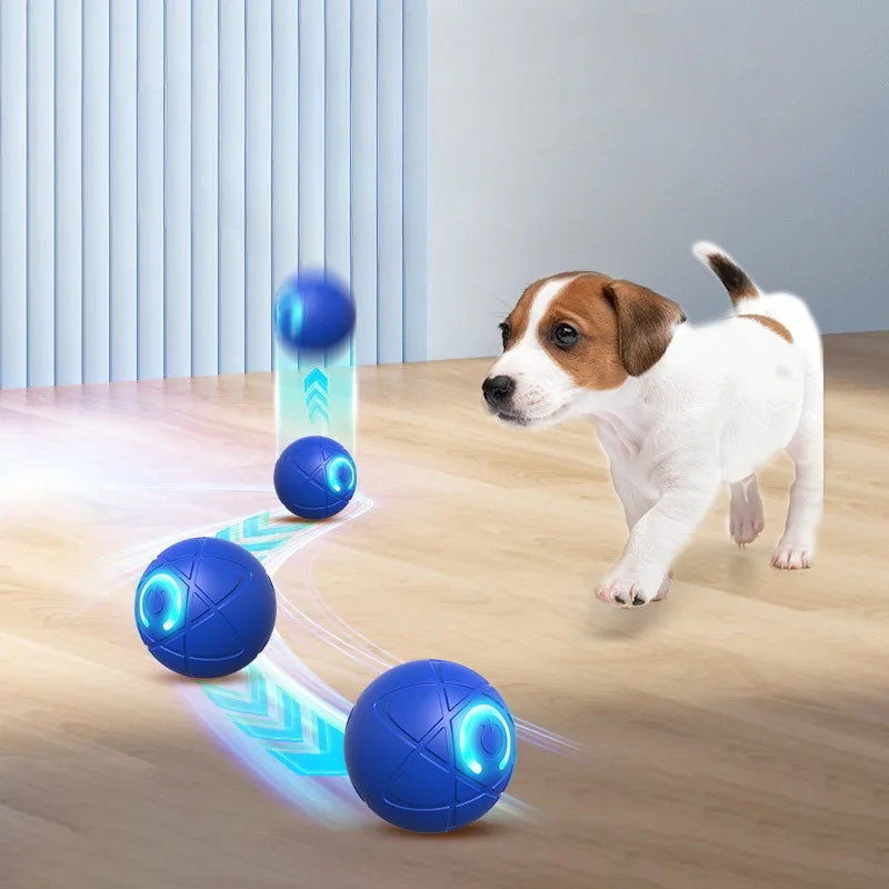 Interactieve Speelbal voor Honden & Katten | Automatische Bewegende LED Bal