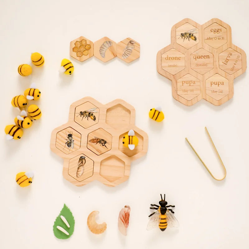 Montessori Levenscyclus Bord - Bijen & Dieren Groei Model Set