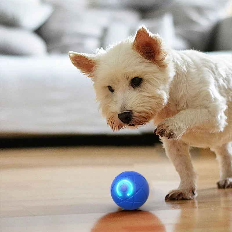 Interactieve Speelbal voor Honden & Katten | Automatische Bewegende LED Bal