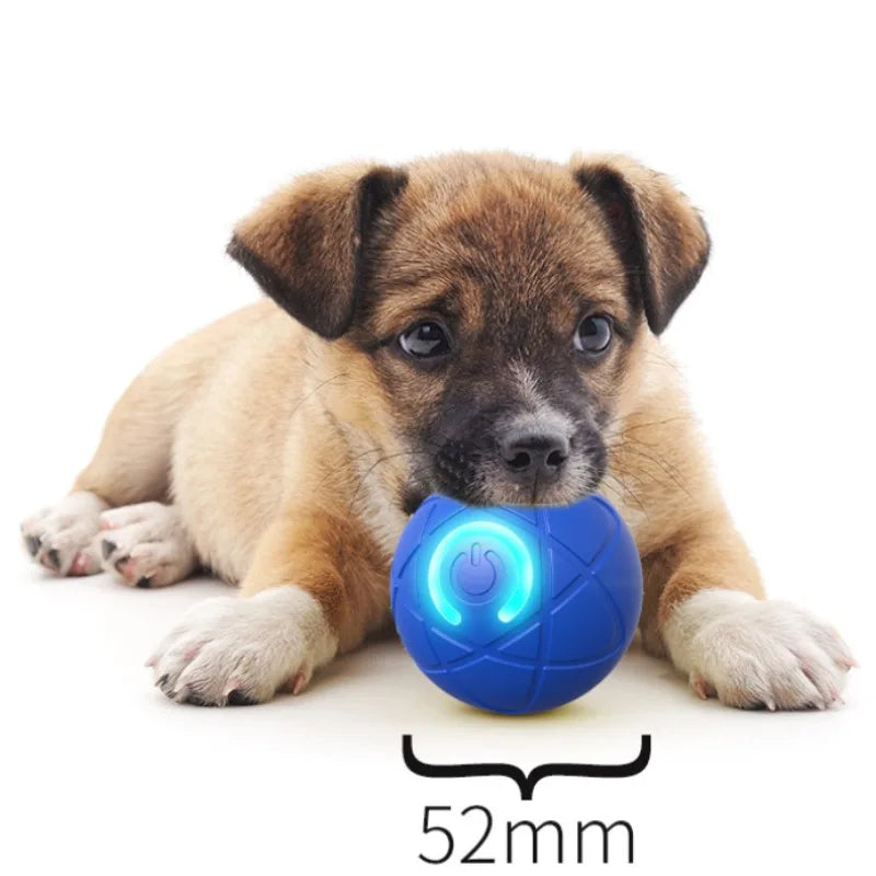 Interactieve Speelbal voor Honden & Katten | Automatische Bewegende LED Bal