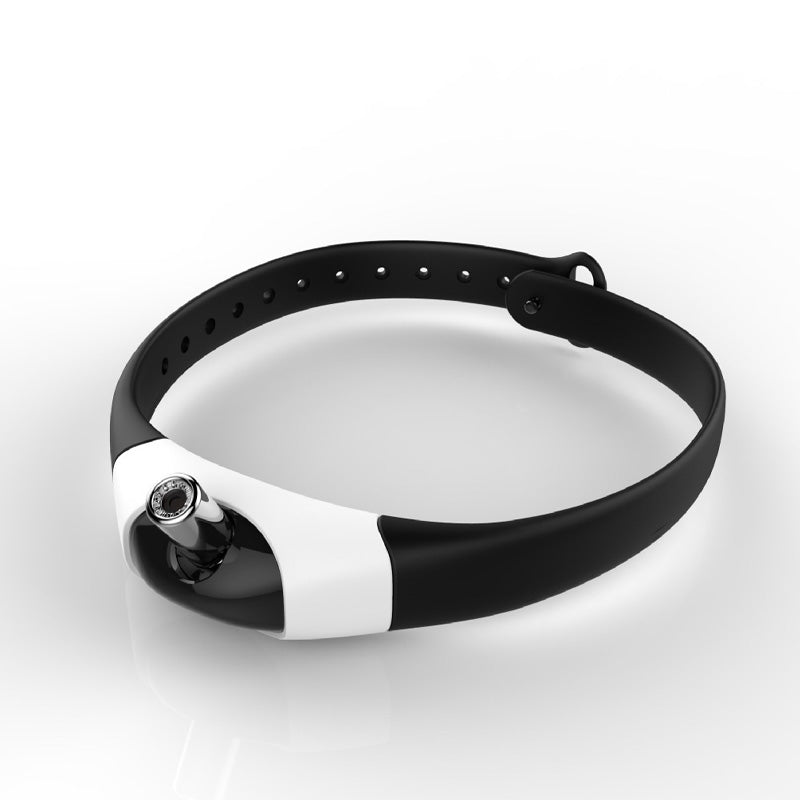 Oplaadbare Kattenhalsband met Laser | Draagbaar Speelgoed