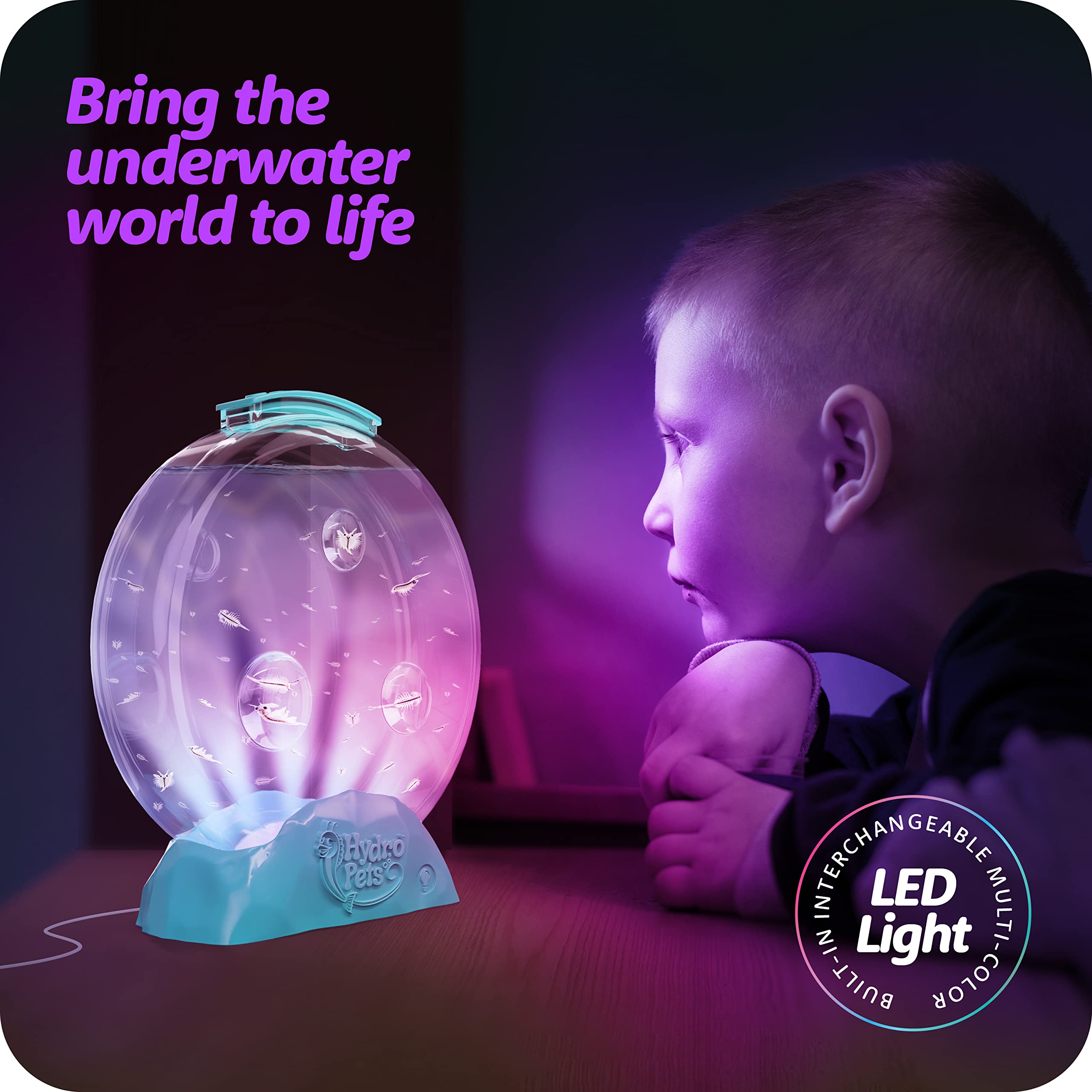 HydroPets Zeehuisdierenset met Lichttank – STEM Water Speelgoed voor Kinderen 6–12 Jaar