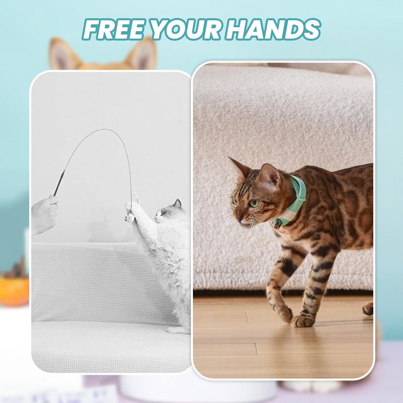 Oplaadbare Elektronische Draagbare Kattenhalsband | Comfortabel en Slim – Voor Binnenkatten & Buitenkatten