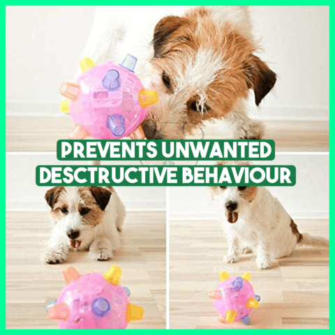 Springende Activatiebal voor Honden | Huisdier Speelgoed