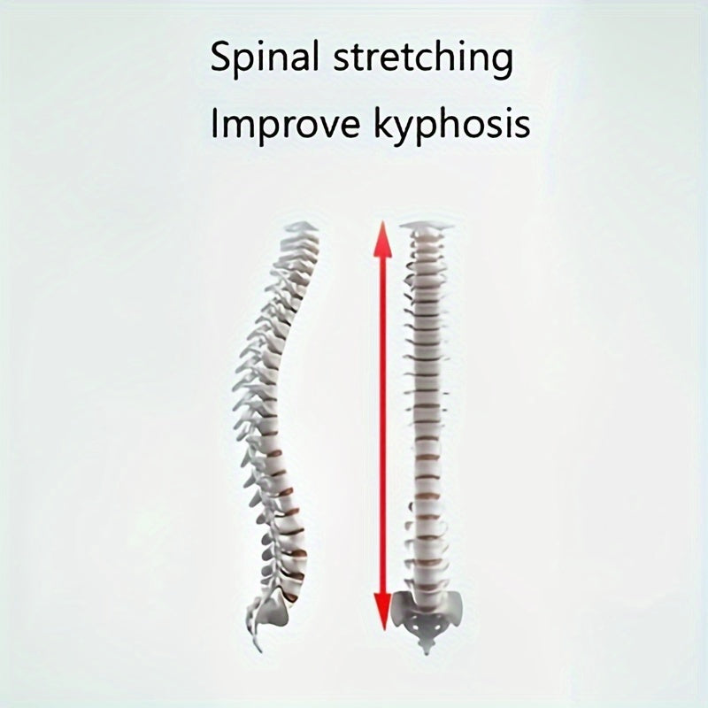Fitness Ophangringen voor Binnen | Geen Stang Nodig | Thuis Sporten Zonder Compromis