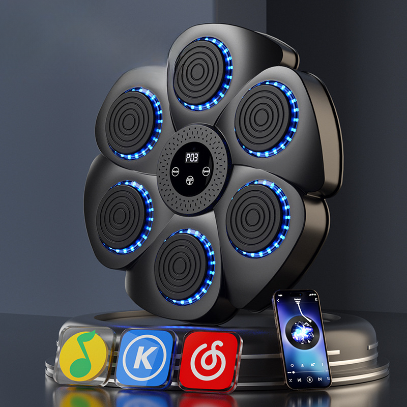 ProBoxer – Slimme Boks Trainer met Bluetooth | Voor Kinderen & Volwassenen