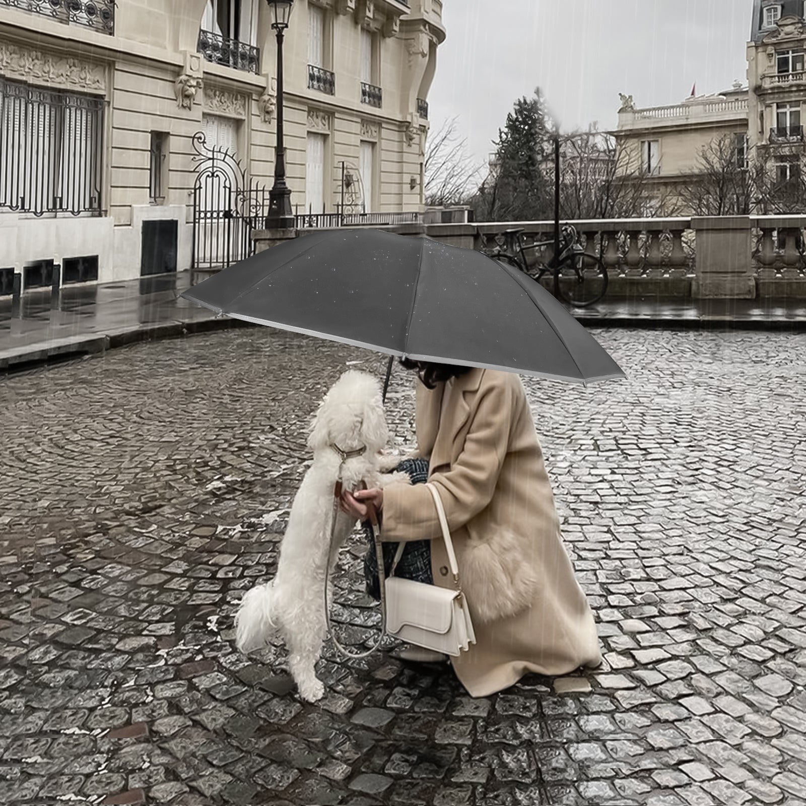 Rainstar automatische paraplu | Omkeerbare sluiting, 10 metalen baleinen, unisex ontwerp, 105 cm