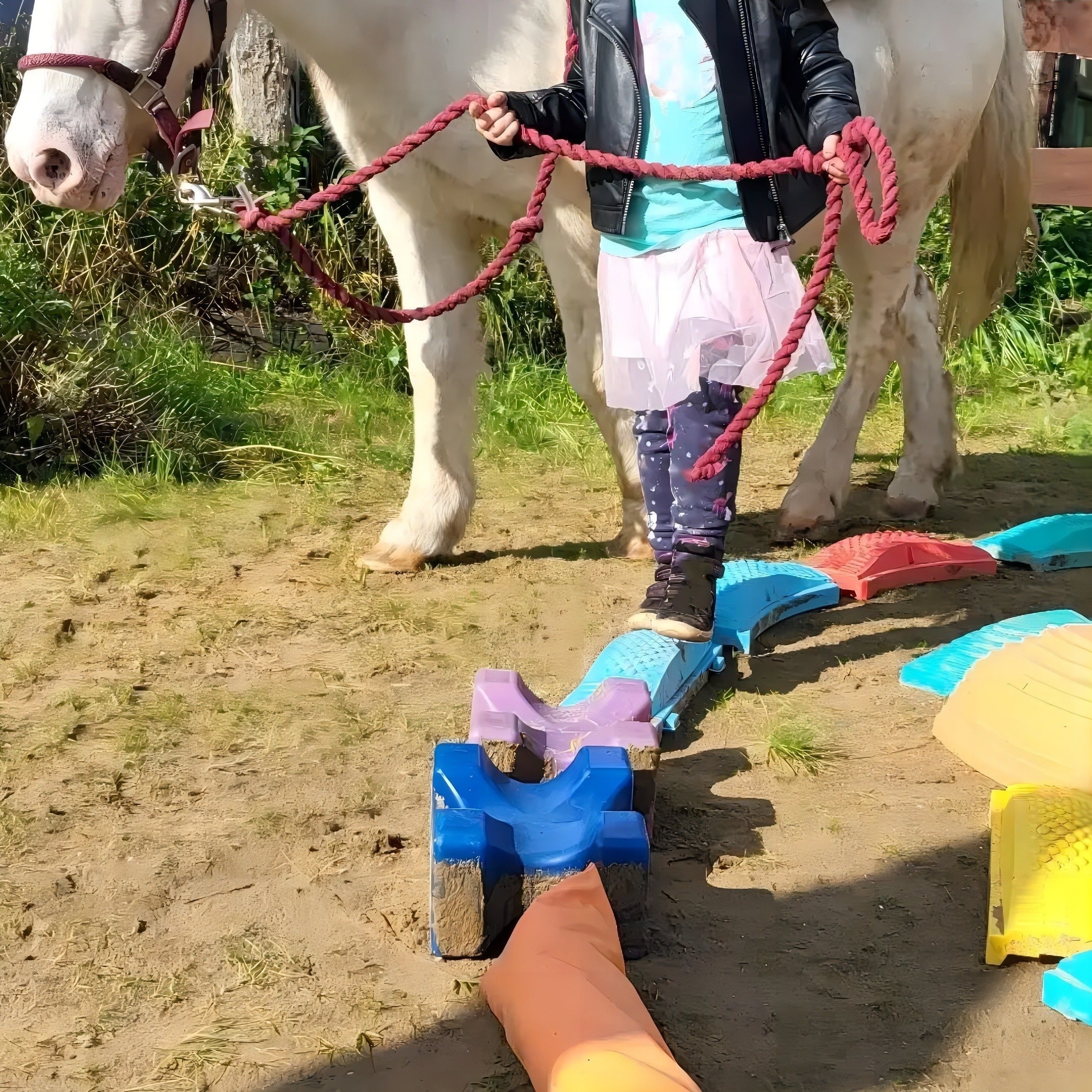 Evenwichtsbalk & Stapstenen Set | Balansspeelgoed 3+ Jaar