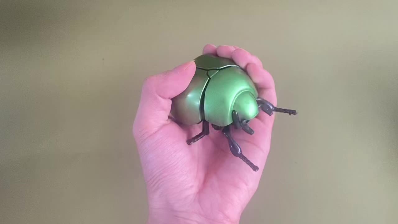 Opwindbare Insect Speelgoed | Lieveheersbeestje, Bij en Juweelkever