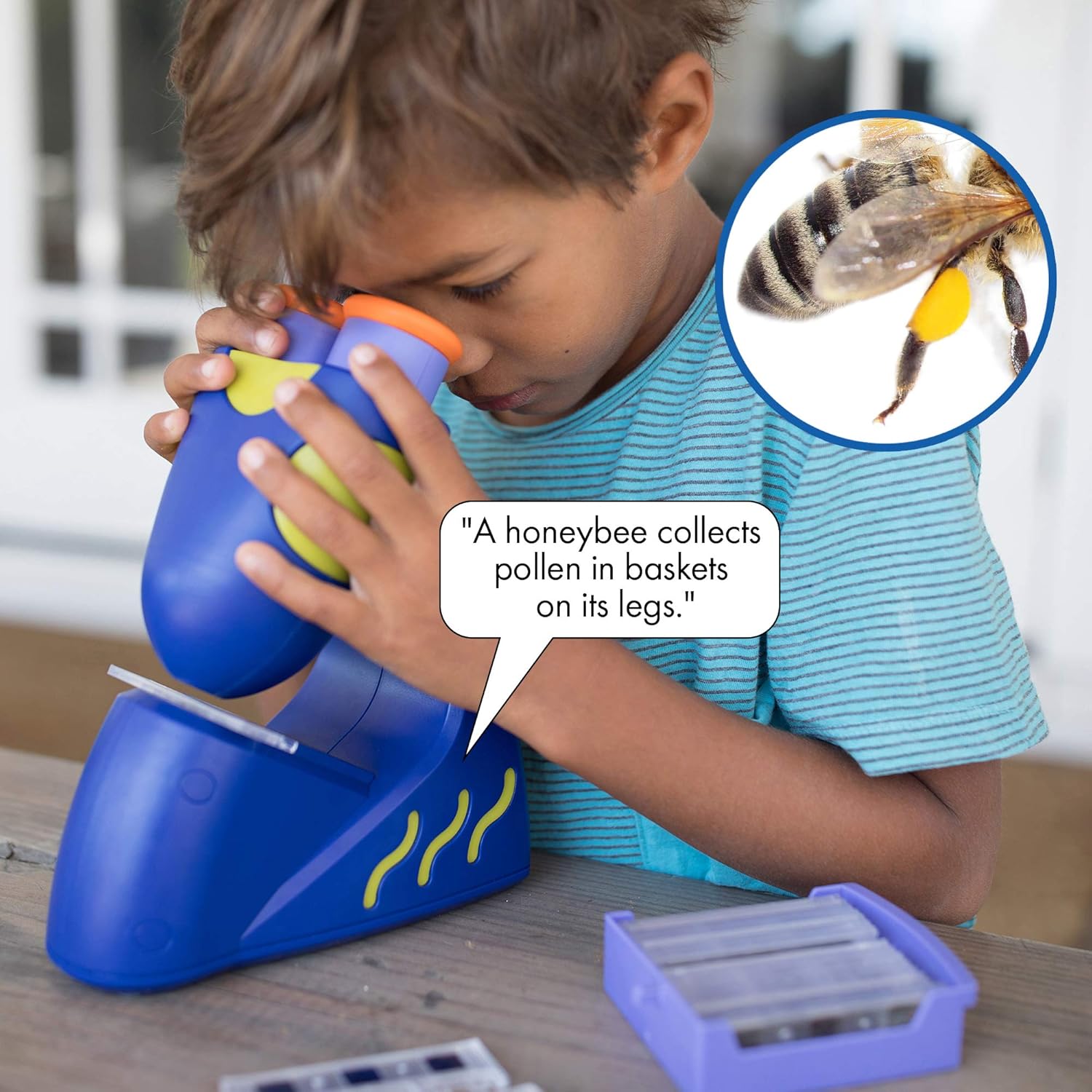 Kindermicroscoop|STEM leer speelgoed met stemfunctie & vergroting