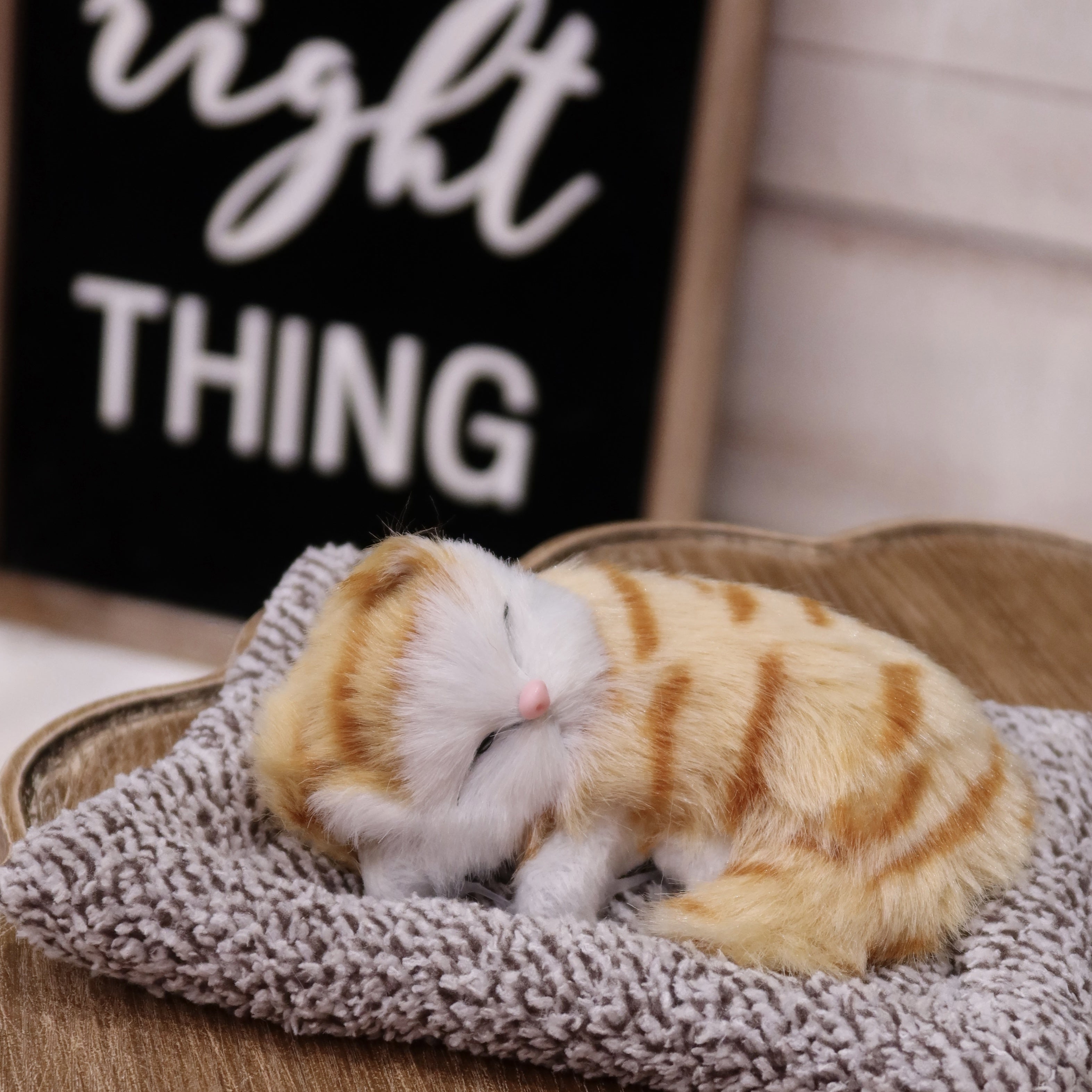Interactieve Kat Knuffel | Meow geluid, touch-geactiveerd, decoratie & cadeau