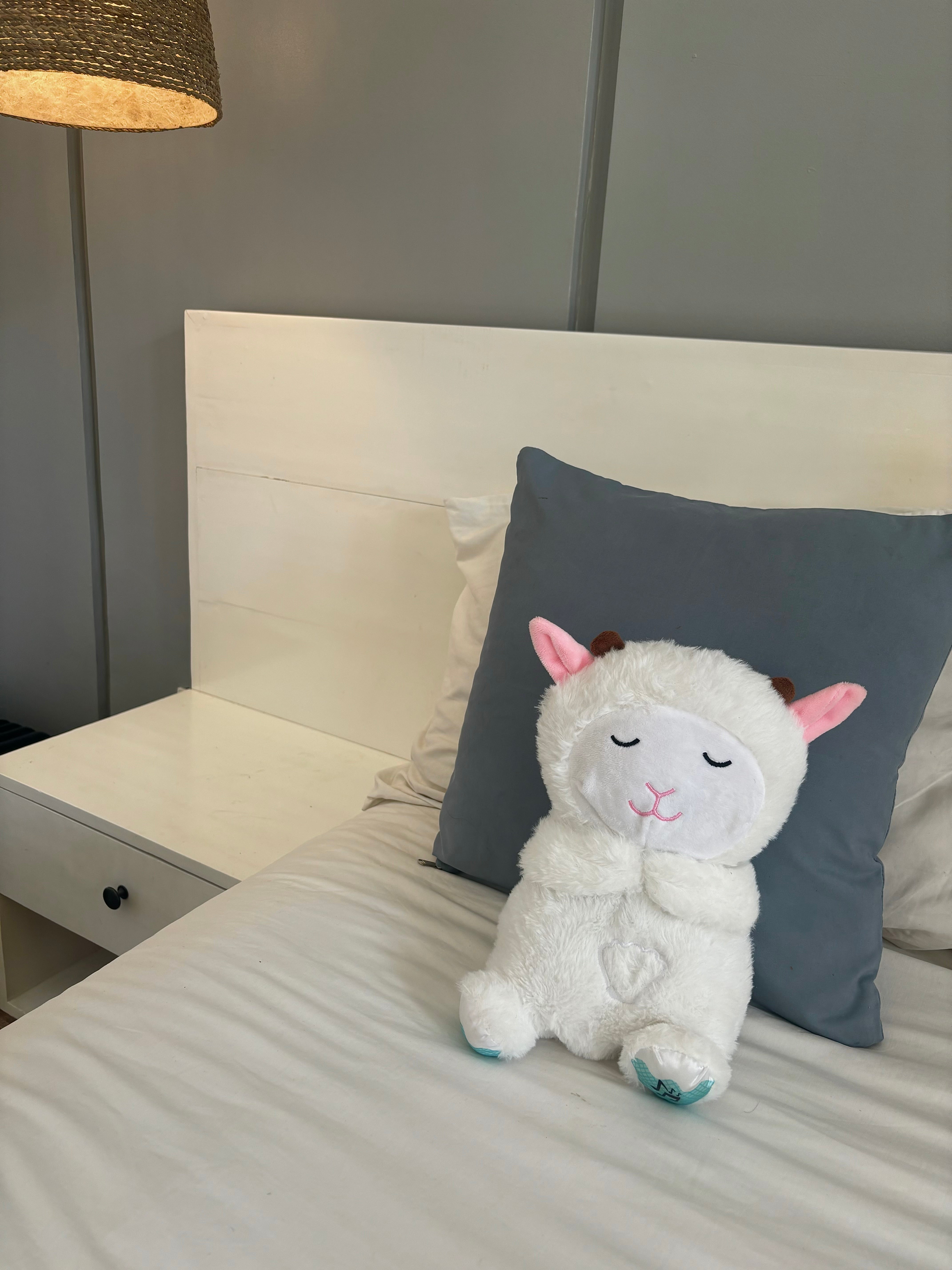 Anti-Angst Teddy Knuffel Speelgoed l Baby's en Peuters van 1 t/m 6 Jaar