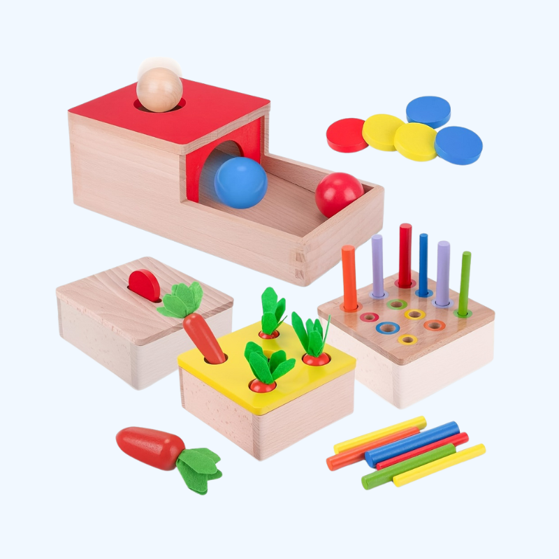 4-in-1 Montessori Speelgoedset | Objectbox en Kleuren Sorteer Spel voor Kinderen
