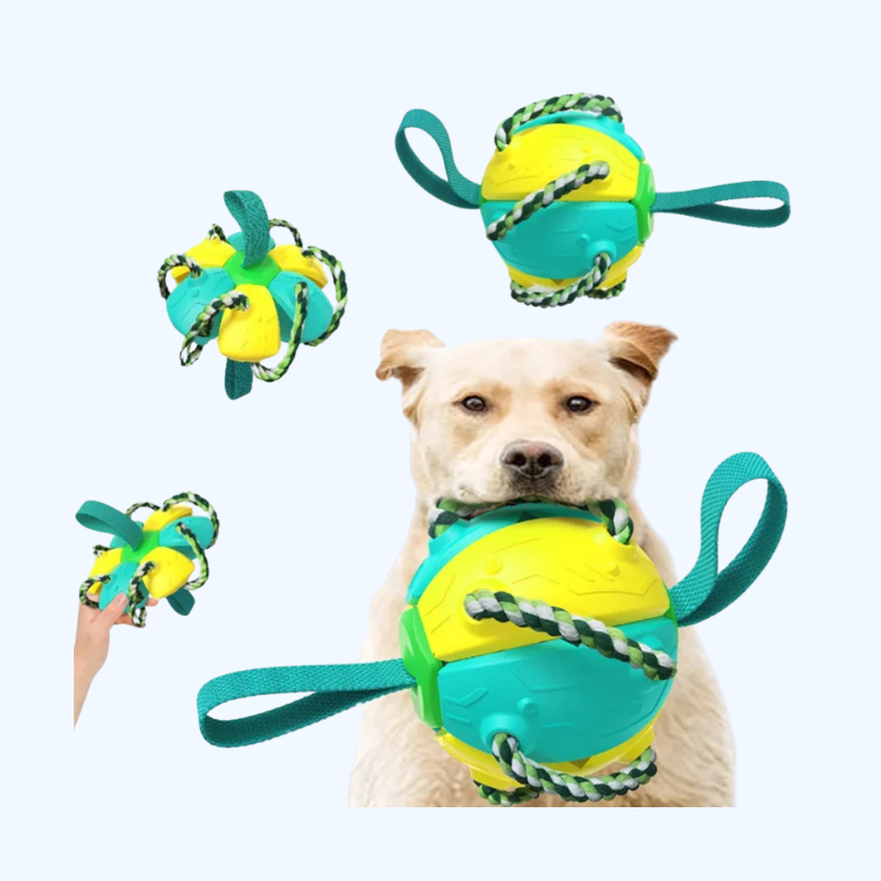 2-in-1 Ballen Frisbee voor Honden | Opvouwbaar Speelgoed | Kauw- en Trainingsspeelgoed