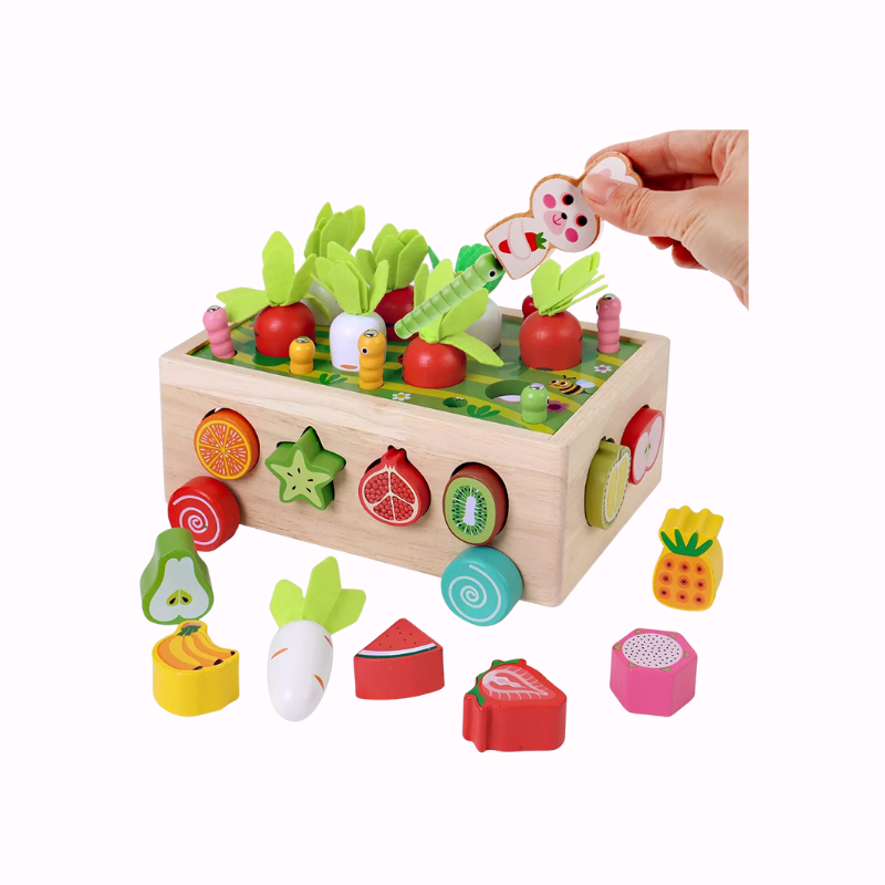 Houten Montessori Vorm & Kleurenspel | Educatief Speelgoed voor 1–3 Jaar | Fijne Motoriek