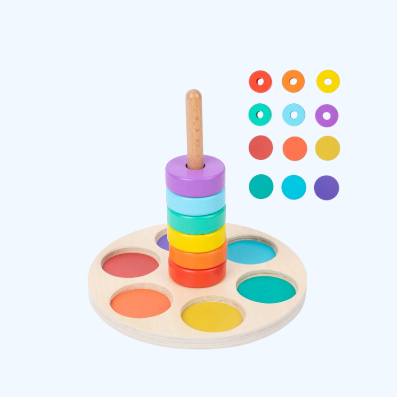 Montessori Regenboog Blokken | Houten Fijne Motoriek Trainer, Kleur- en Vormassociatie Speelgoed, Educatief voor Peuters