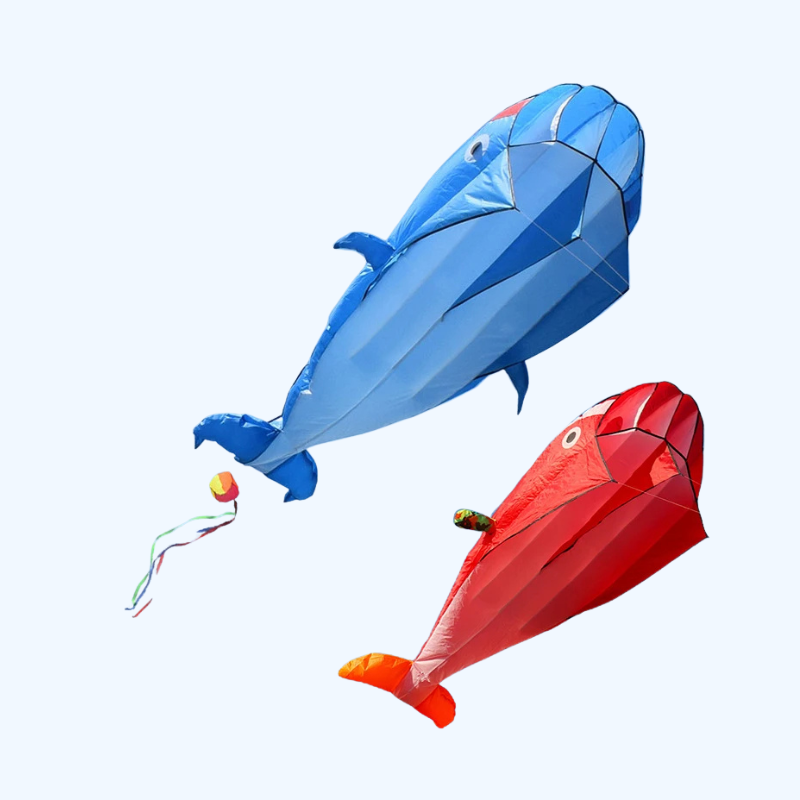 2.2M Reuzen Dolfijn-Vlieger - Parafoil Strandkite Voor Kinderen en Volwassenen