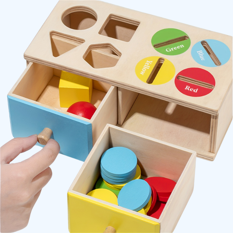 Houten Vorm- en Kleuren Sorteerspel | Educatief Speelgoed voor Cognitieve Ontwikkeling | Ideaal Cadeau voor Kinderen