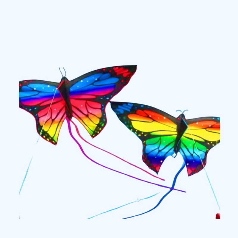 Kleurrijke Vlindervlieger - 1.45M Vlieger Met Lijn Voor Kinderen
