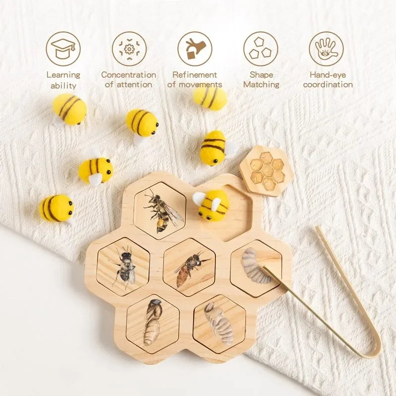 Montessori Levenscyclus Bord - Bijen & Dieren Groei Model Set