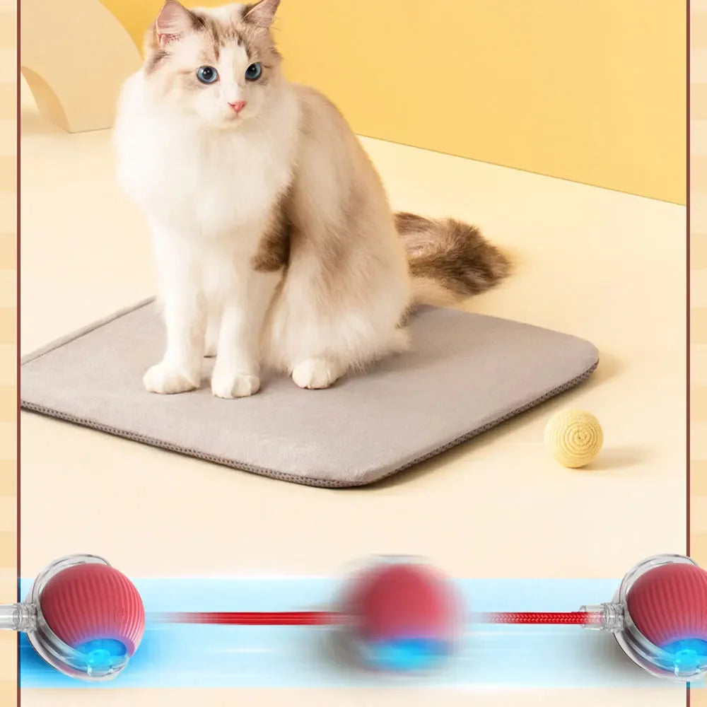 Interactieve Speelbal voor Katten | Slim & Zelfbewegend