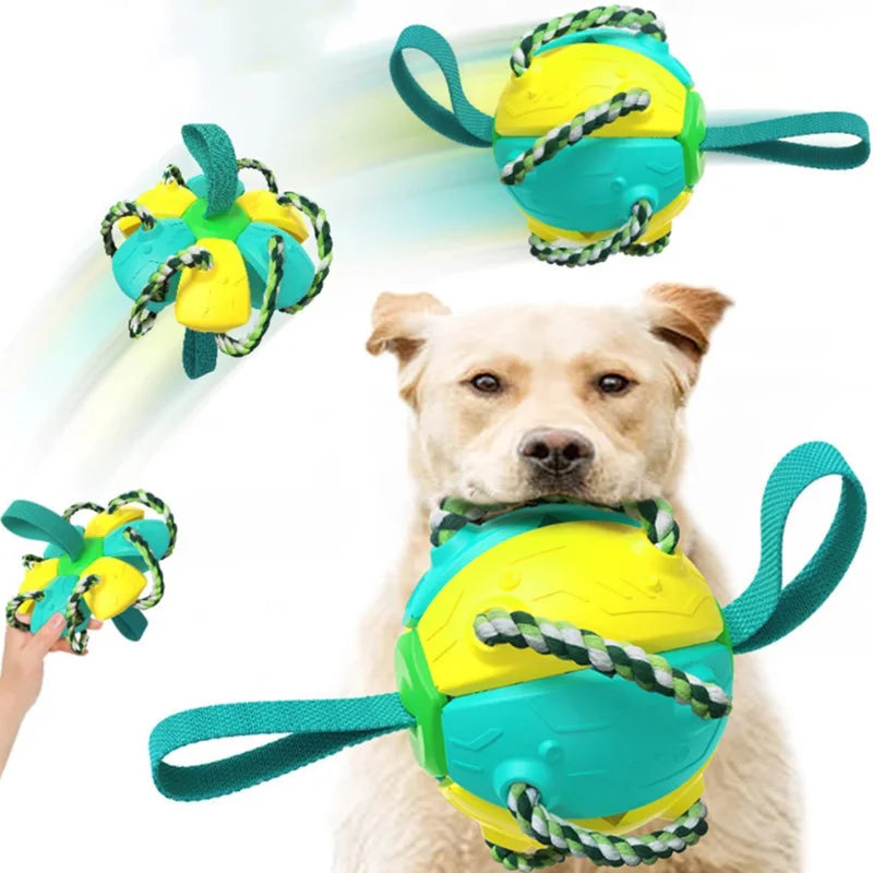 2-in-1 Ballen Frisbee voor Honden | Opvouwbaar Speelgoed | Kauw- en Trainingsspeelgoed