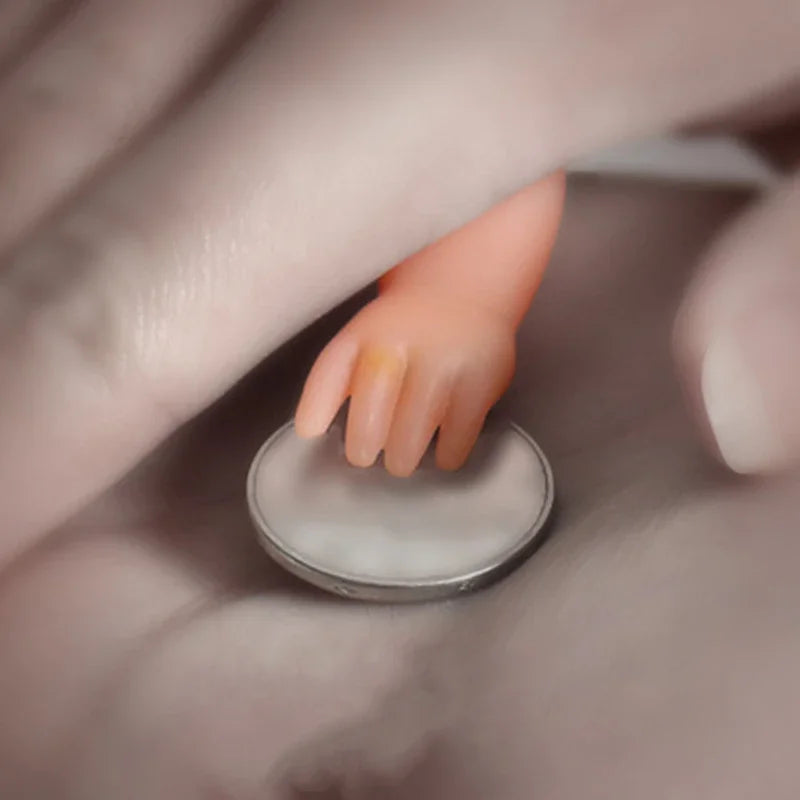 Horror Magische Trucs | Prank & Close-Up Magie met Verdwijnende Munt, Party Entertainment