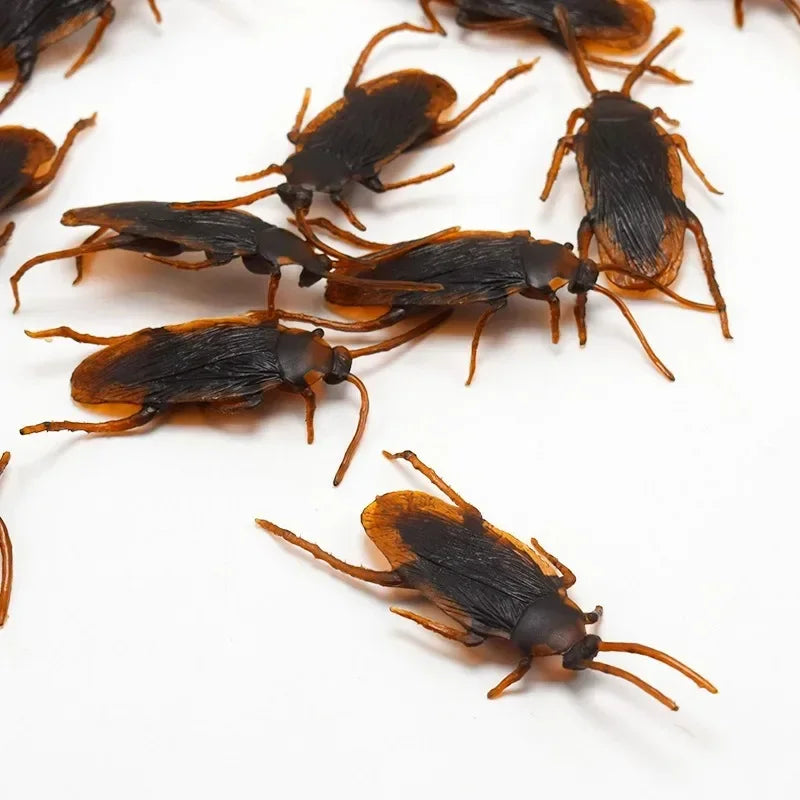 Realistische Nep Kakkerlakken voor Gênante Grappen - Grote Set Plastic Insecten voor een Perfecte Prank - Ideale Halloween Decoratie en Fopartikel Halloween