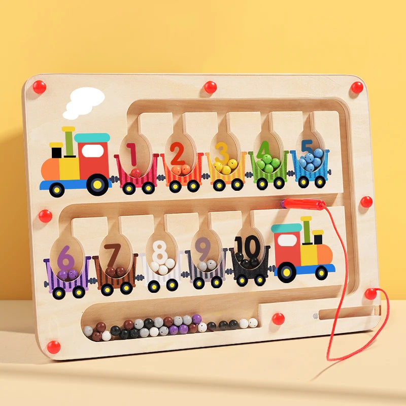 Montessori Magnetisch Kleur Sorteerspel | Houten Sensorisch Doolhof