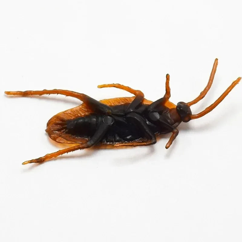 Realistische Nep Kakkerlakken voor Gênante Grappen - Grote Set Plastic Insecten voor een Perfecte Prank - Ideale Halloween Decoratie en Fopartikel Halloween
