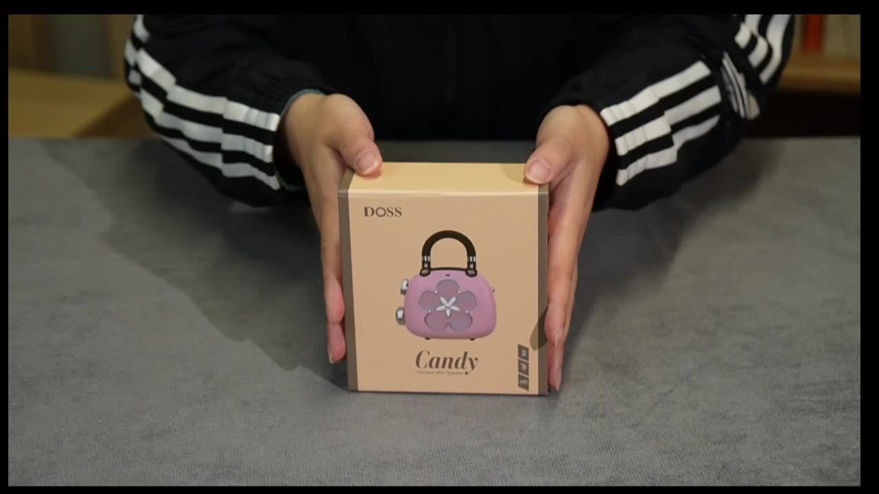 Mini Bluetooth Speaker voor Kinderen en Volwassenen - Draagbare Draadloze Luidspreker met Retro Design - 5W Krachtig Geluid MP3 Speler - Leuk Cadeau voor Meisjes