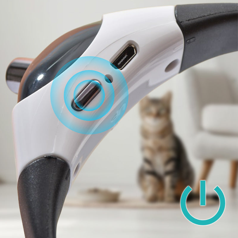 Oplaadbare Kattenhalsband met Laser | Draagbaar Speelgoed