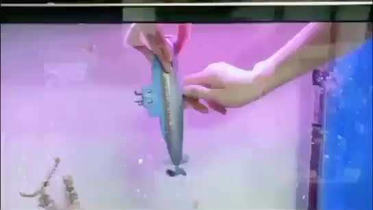 Waterspeelgoed Onderzeeër Blauw en Grijs – Met Rode Zeester en Nummerontwerp – Voor Zwembad en Strandplezier