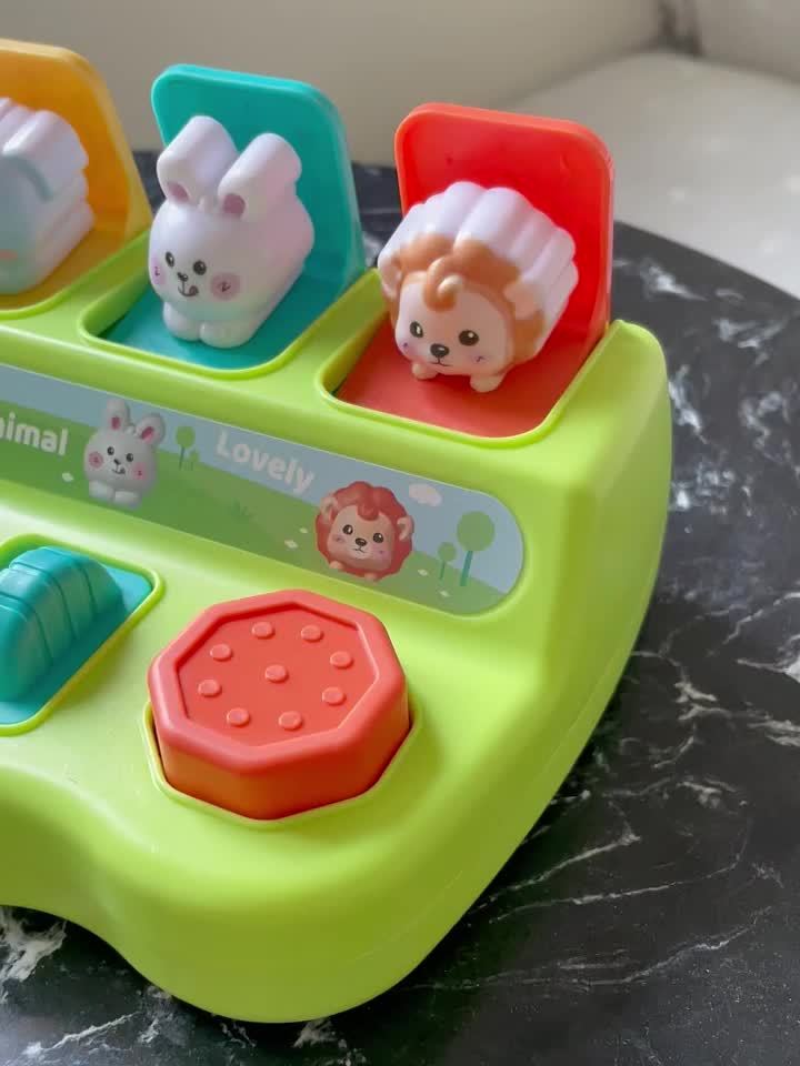 Interactieve Pop-Up Dieren Speeldoos | Educatief Speelgoed | Logica & Geheugen Training | Duurzaam Plastic