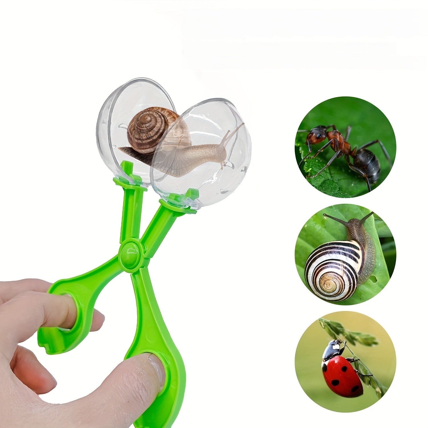 Montessori Verkennersset voor Kinderen | 5-delig Educatief Avonturenpakket met Insectenkit